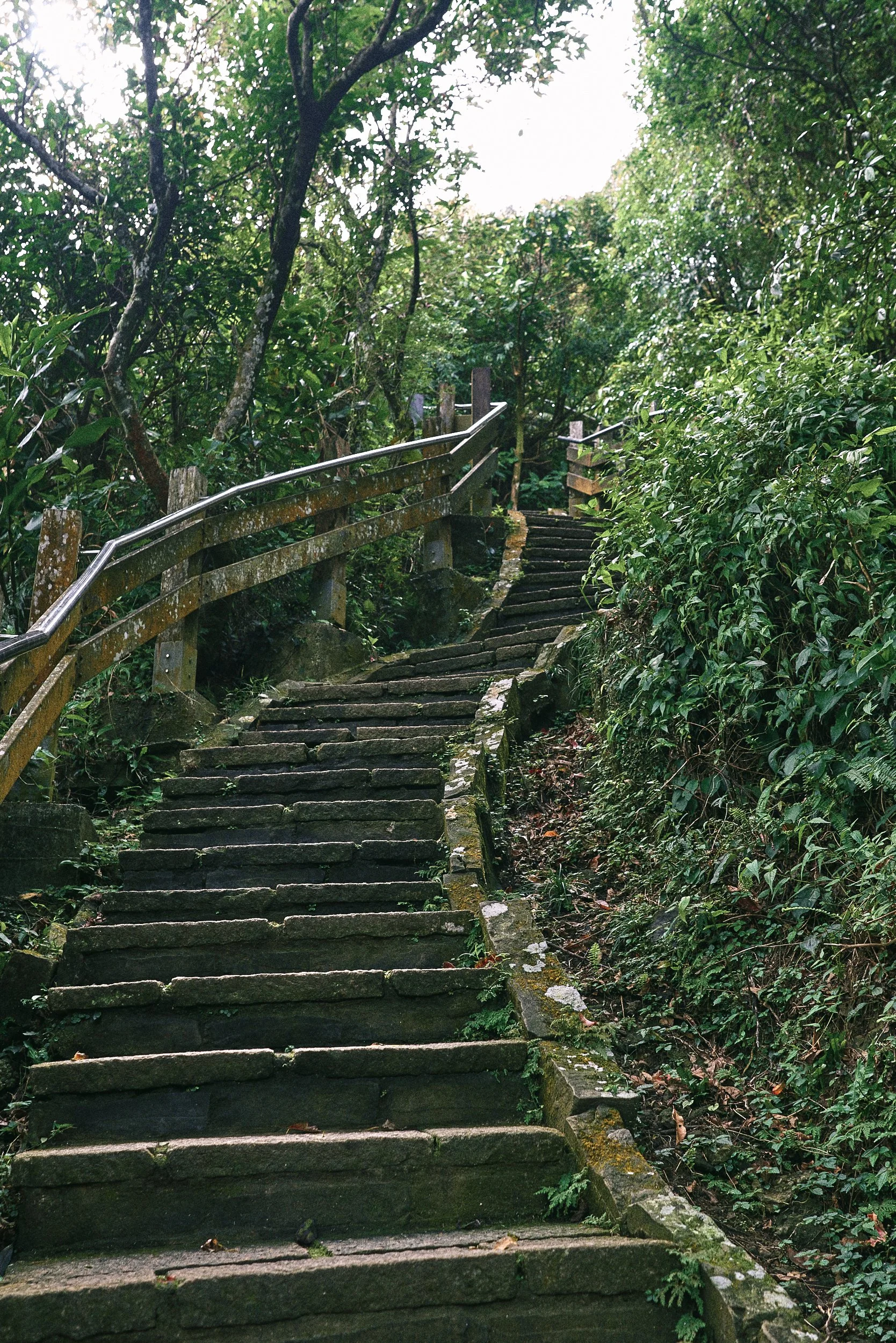 _DSC7273- JPEG 2500px for Squarespace .jpg