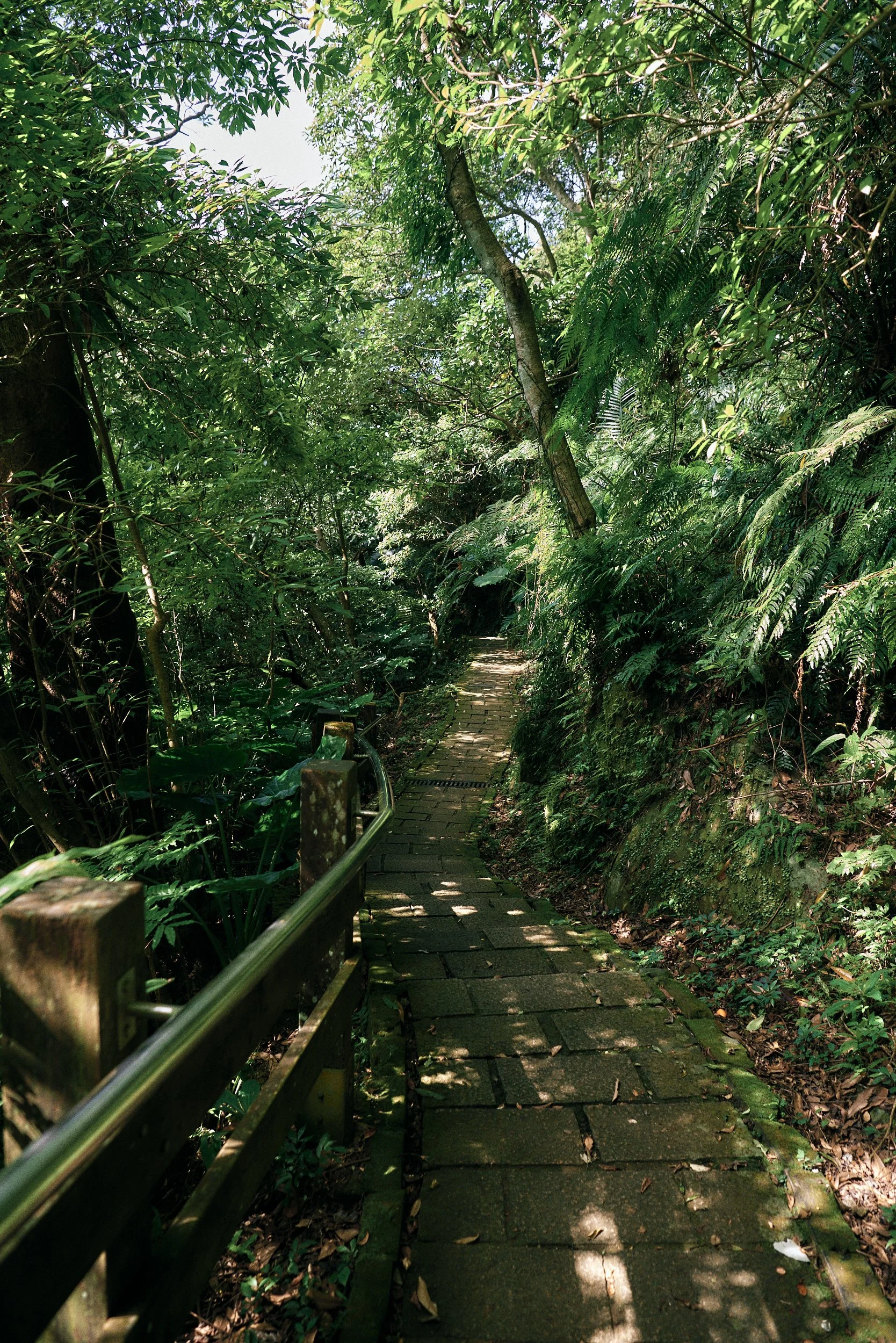 _DSC7276- JPEG 2500px for Squarespace .jpg