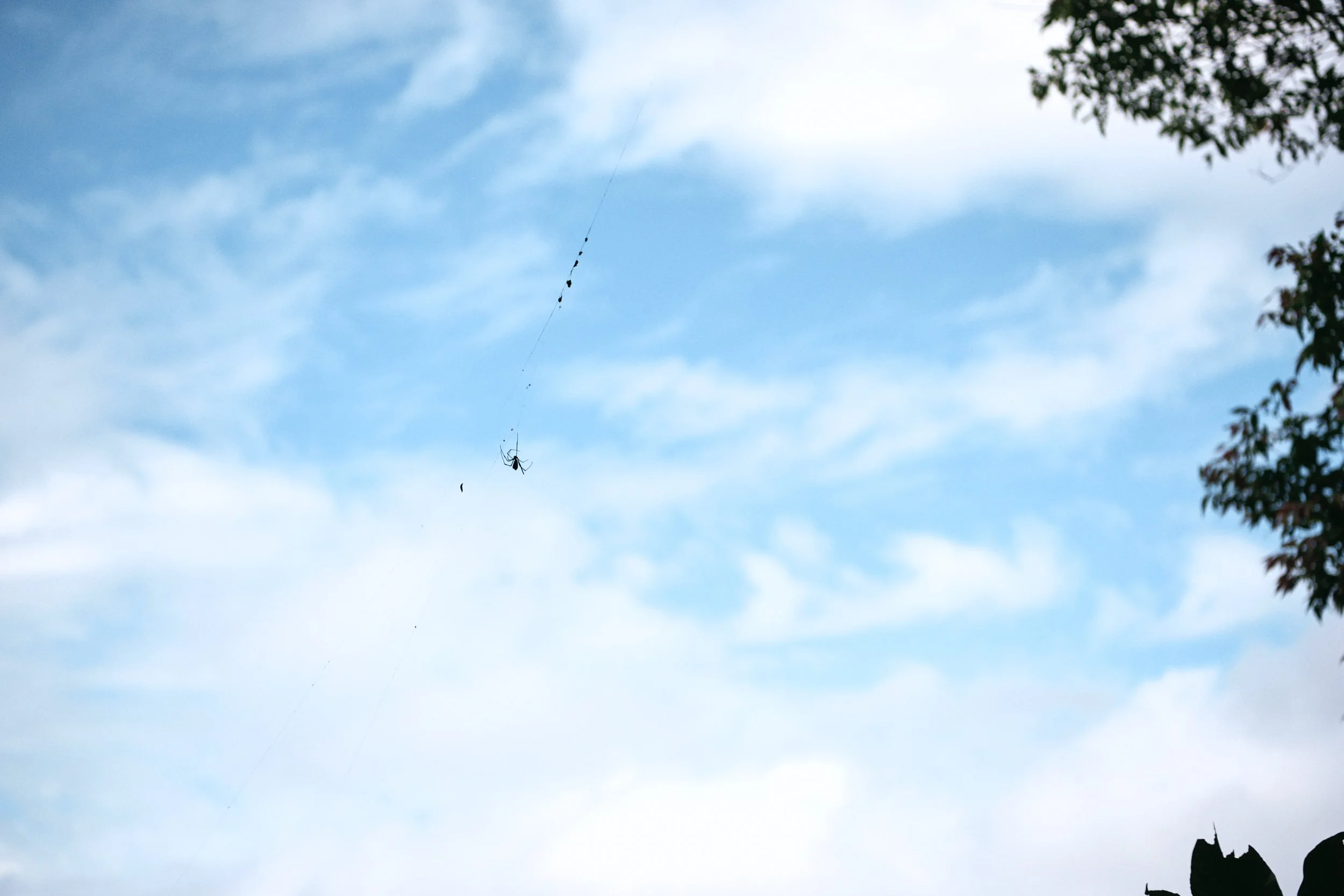 _DSC7279- JPEG 2500px for Squarespace .jpg