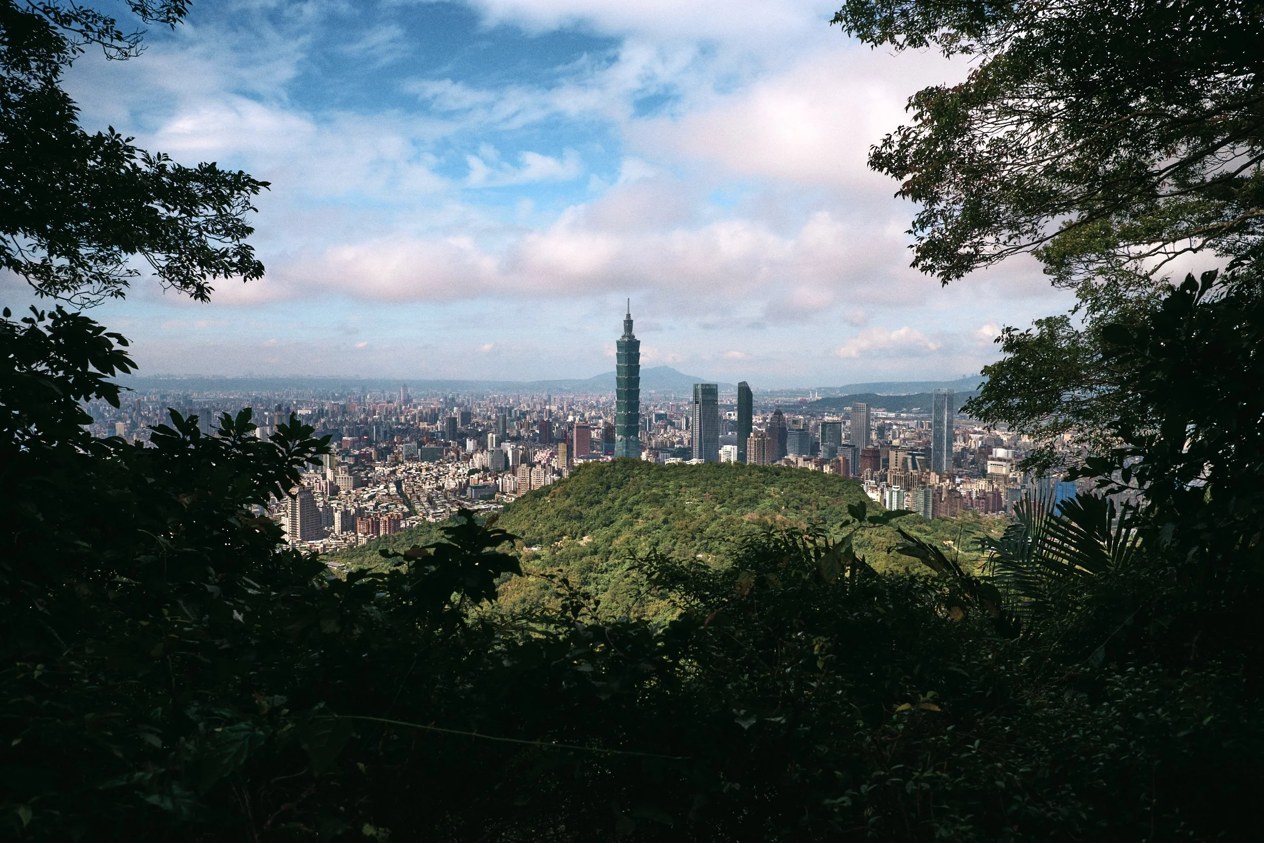 _DSC7280- JPEG 2500px for Squarespace .jpg