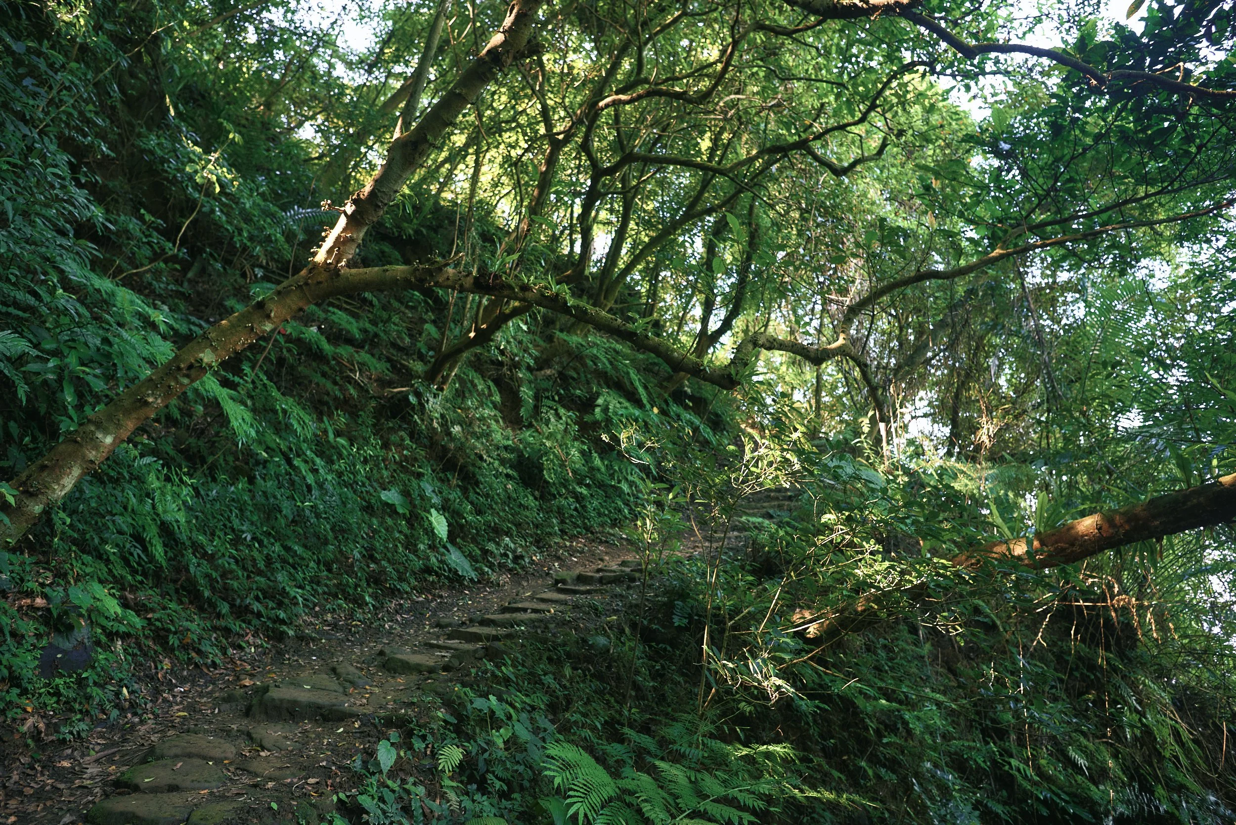 _DSC7302- JPEG 2500px for Squarespace .jpg