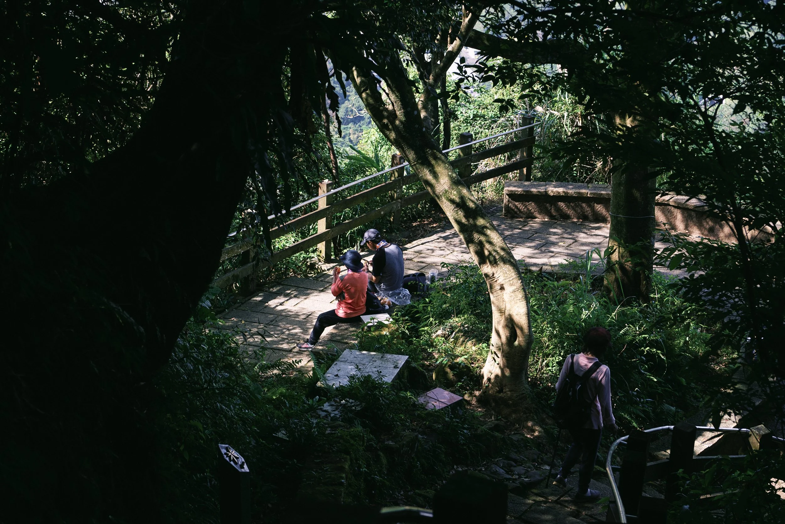 _DSC7295- JPEG 2500px for Squarespace .jpg