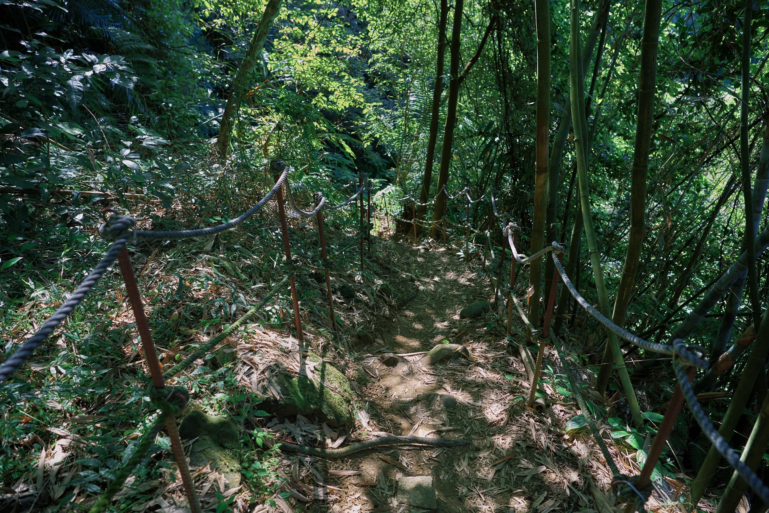 _DSC7301- JPEG 2500px for Squarespace .jpg