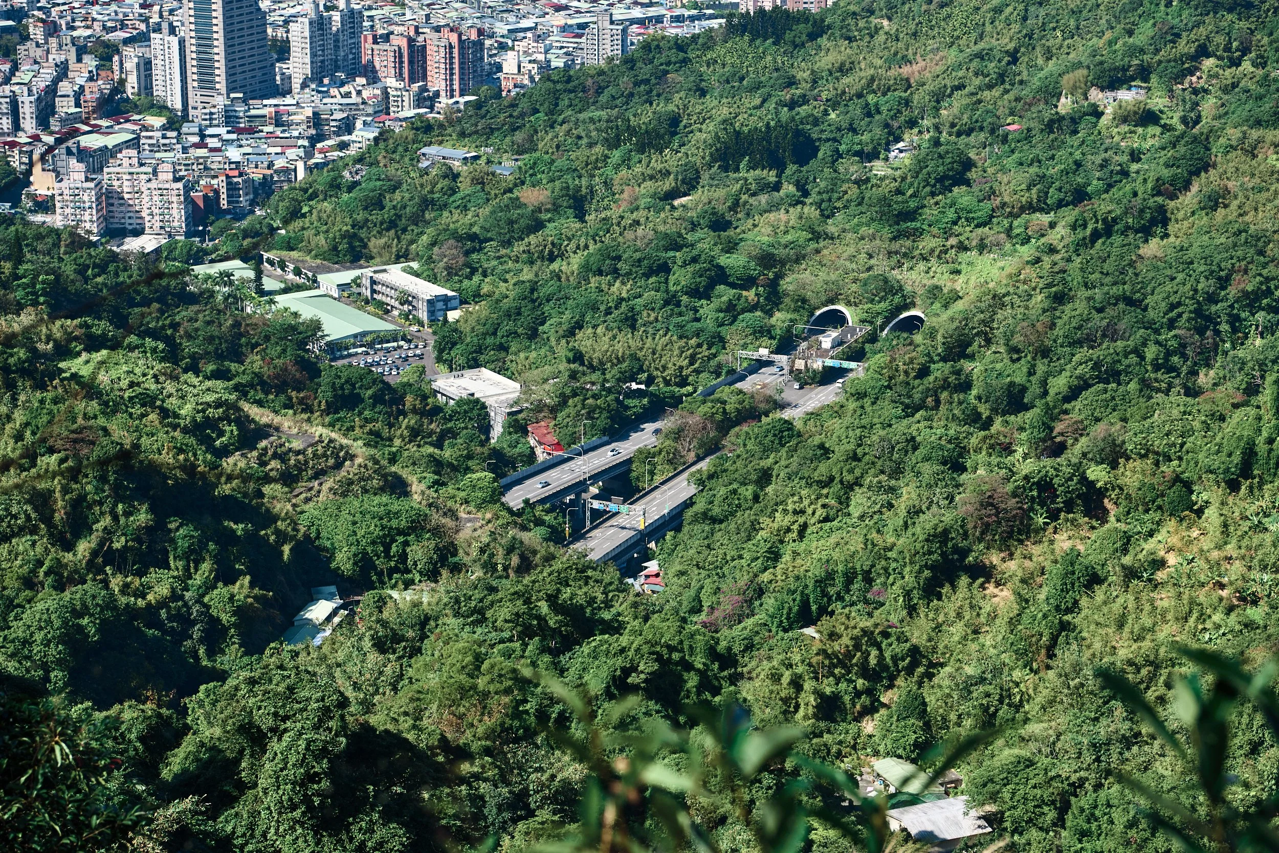 _DSC7305- JPEG 2500px for Squarespace .jpg