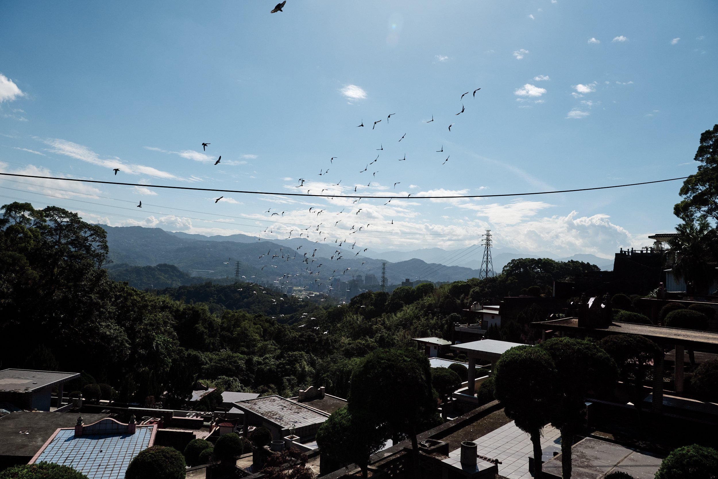 _DSC7317- JPEG 2500px for Squarespace .jpg