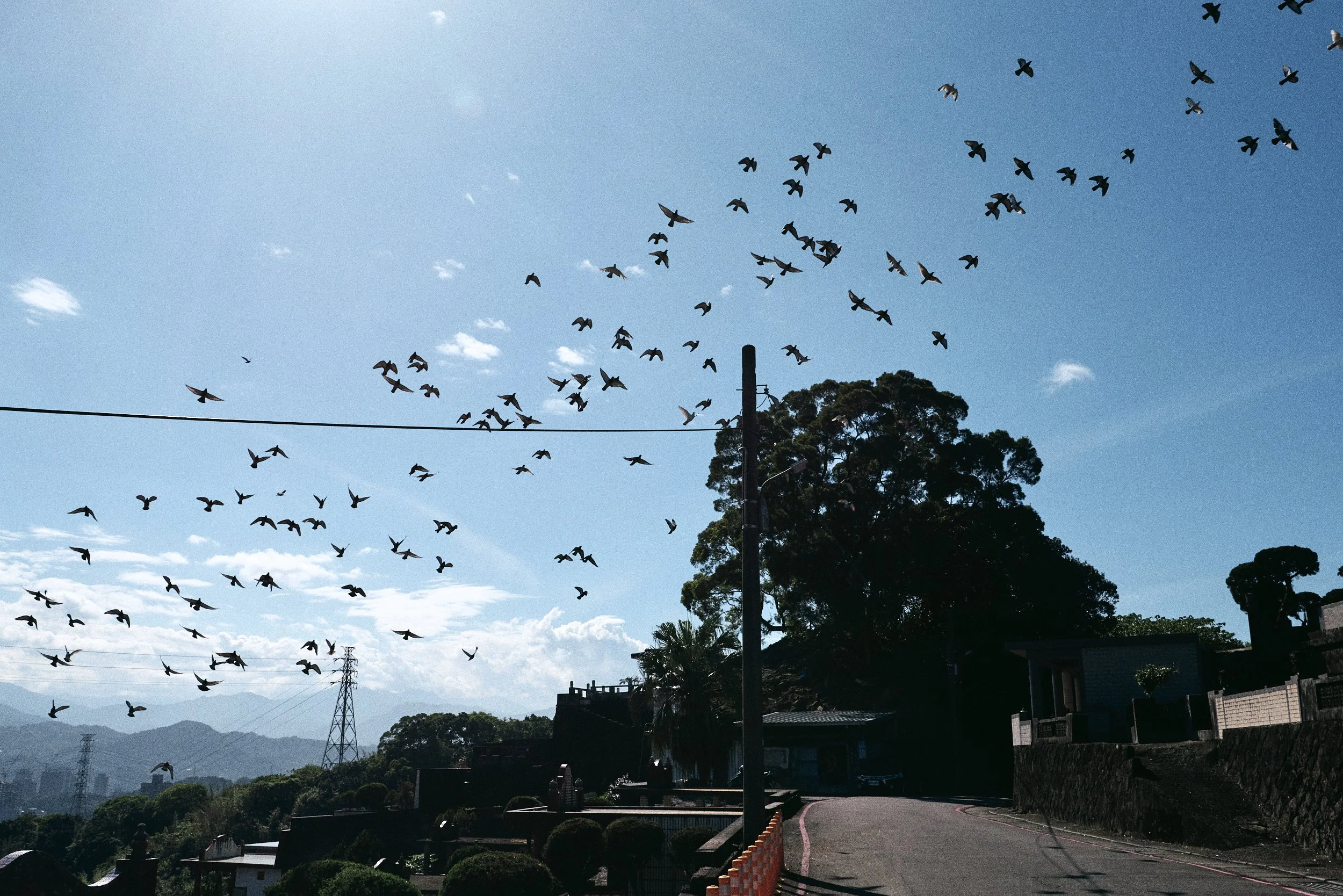 _DSC7320- JPEG 2500px for Squarespace .jpg