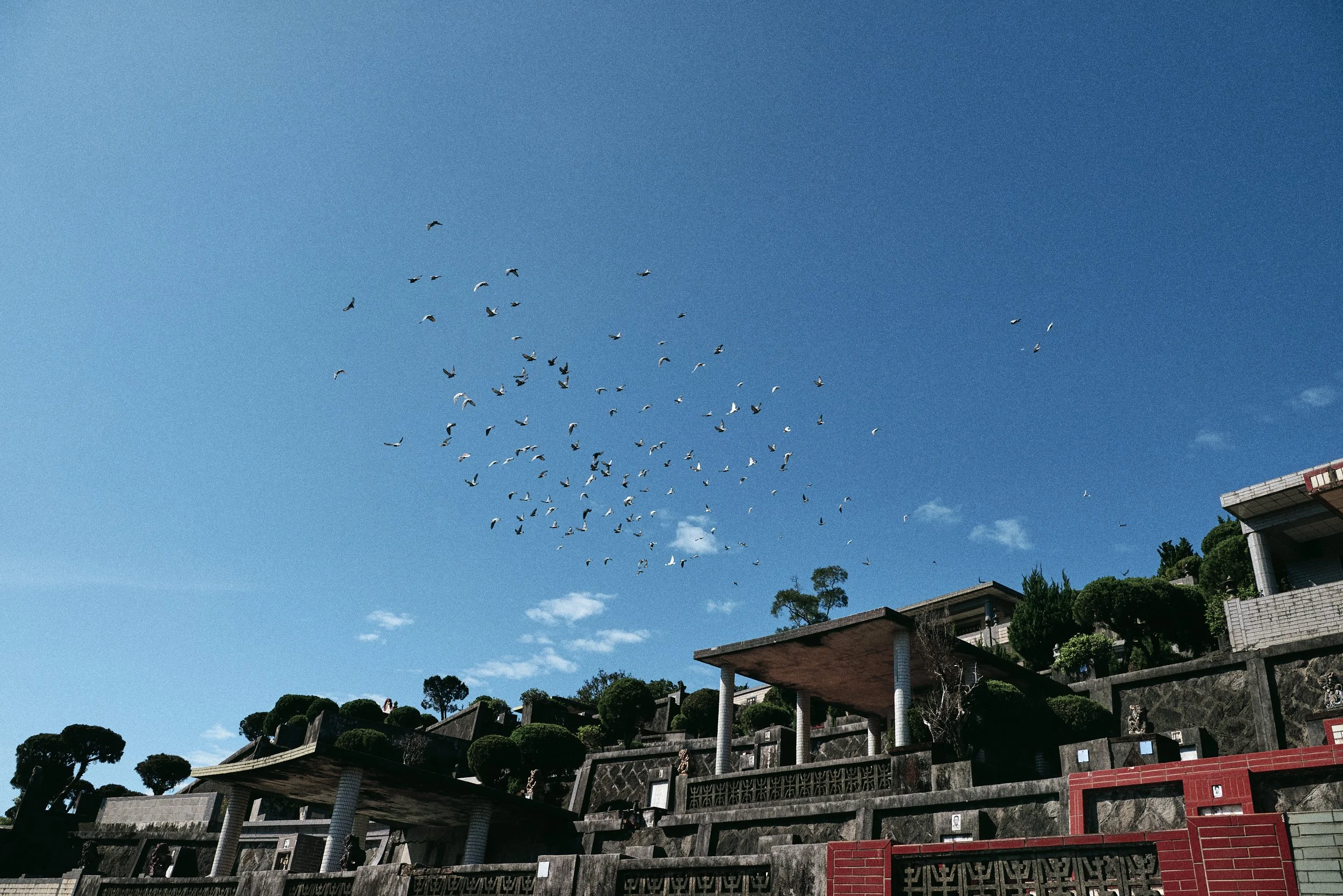 _DSC7321- JPEG 2500px for Squarespace .jpg