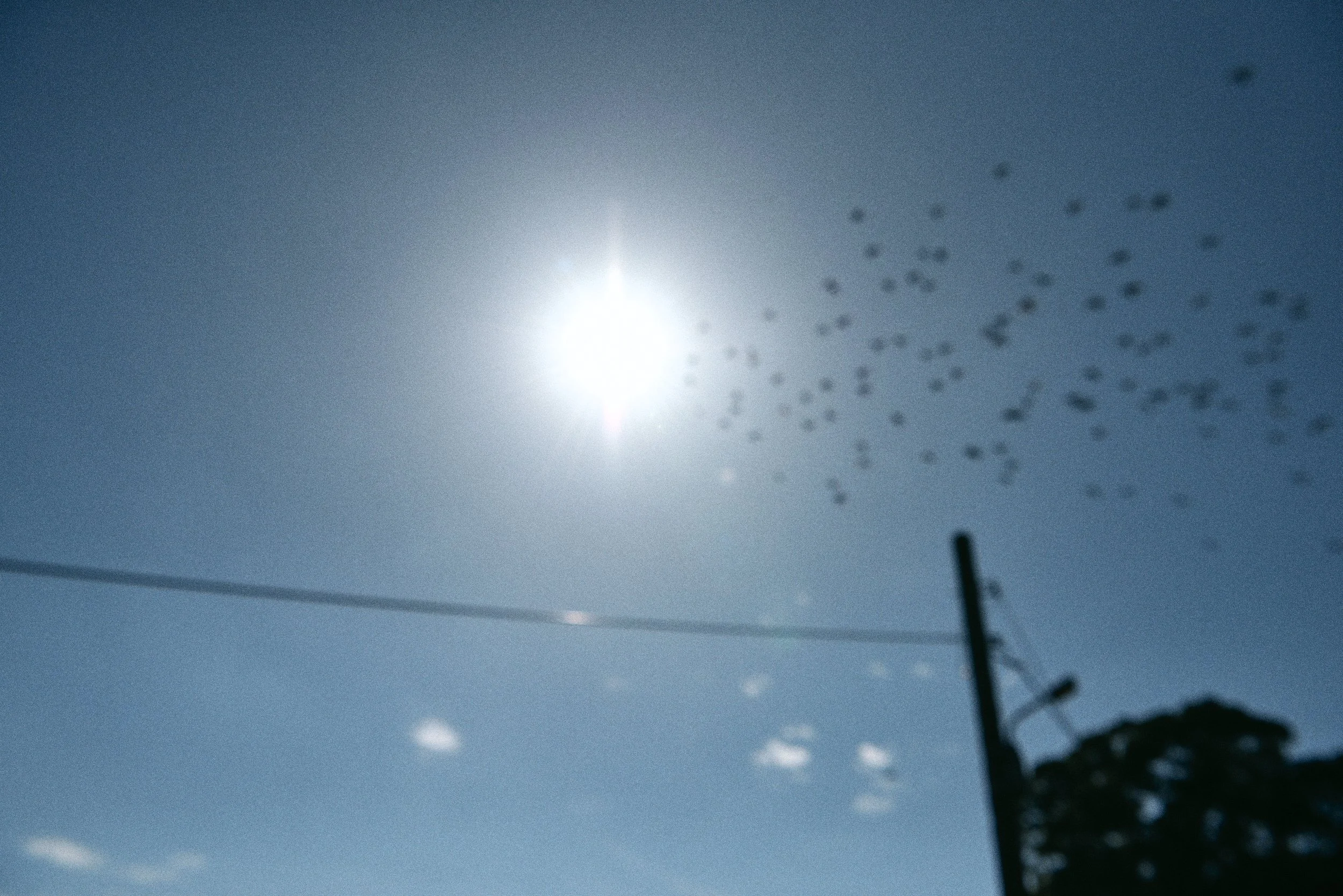 _DSC7322- JPEG 2500px for Squarespace .jpg