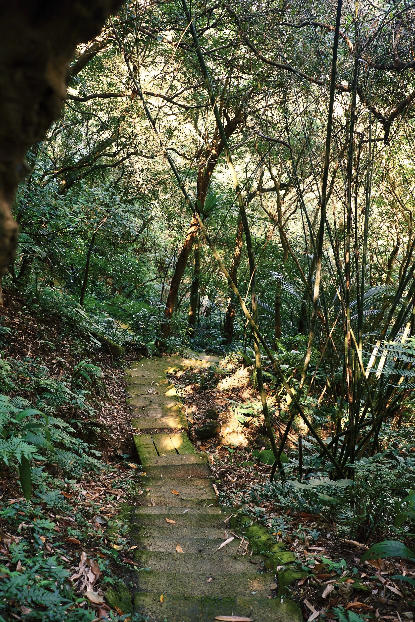 _DSC7312- JPEG 2500px for Squarespace .jpg