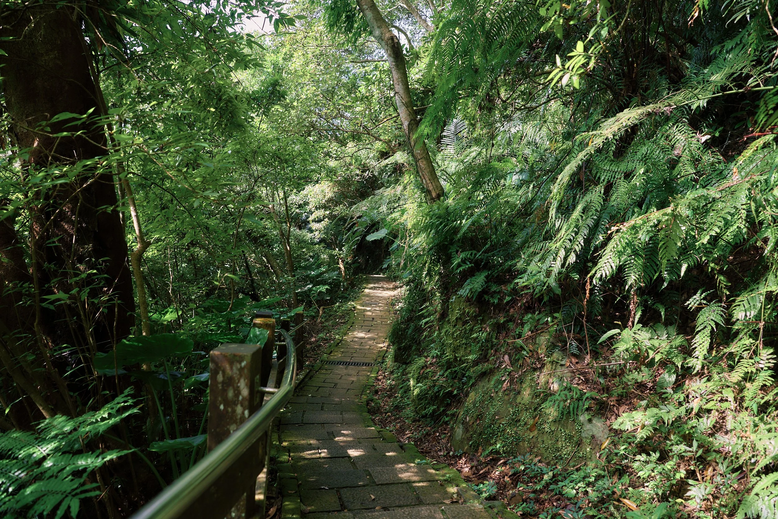 _DSC7277- JPEG 2500px for Squarespace .jpg