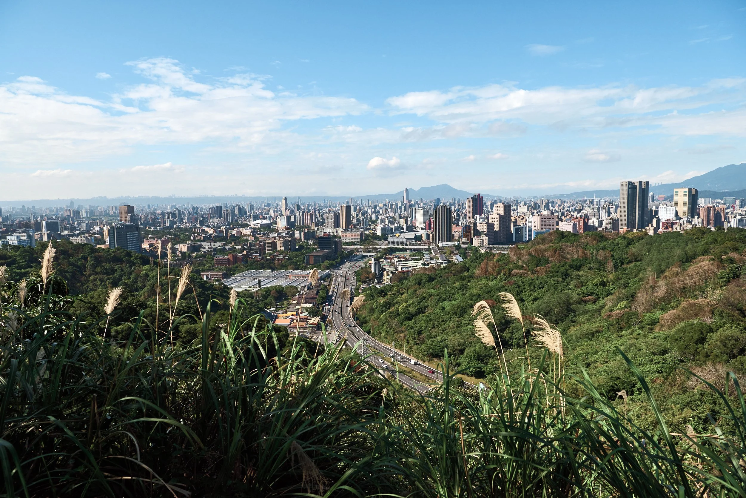 _DSC7328- JPEG 2500px for Squarespace .jpg