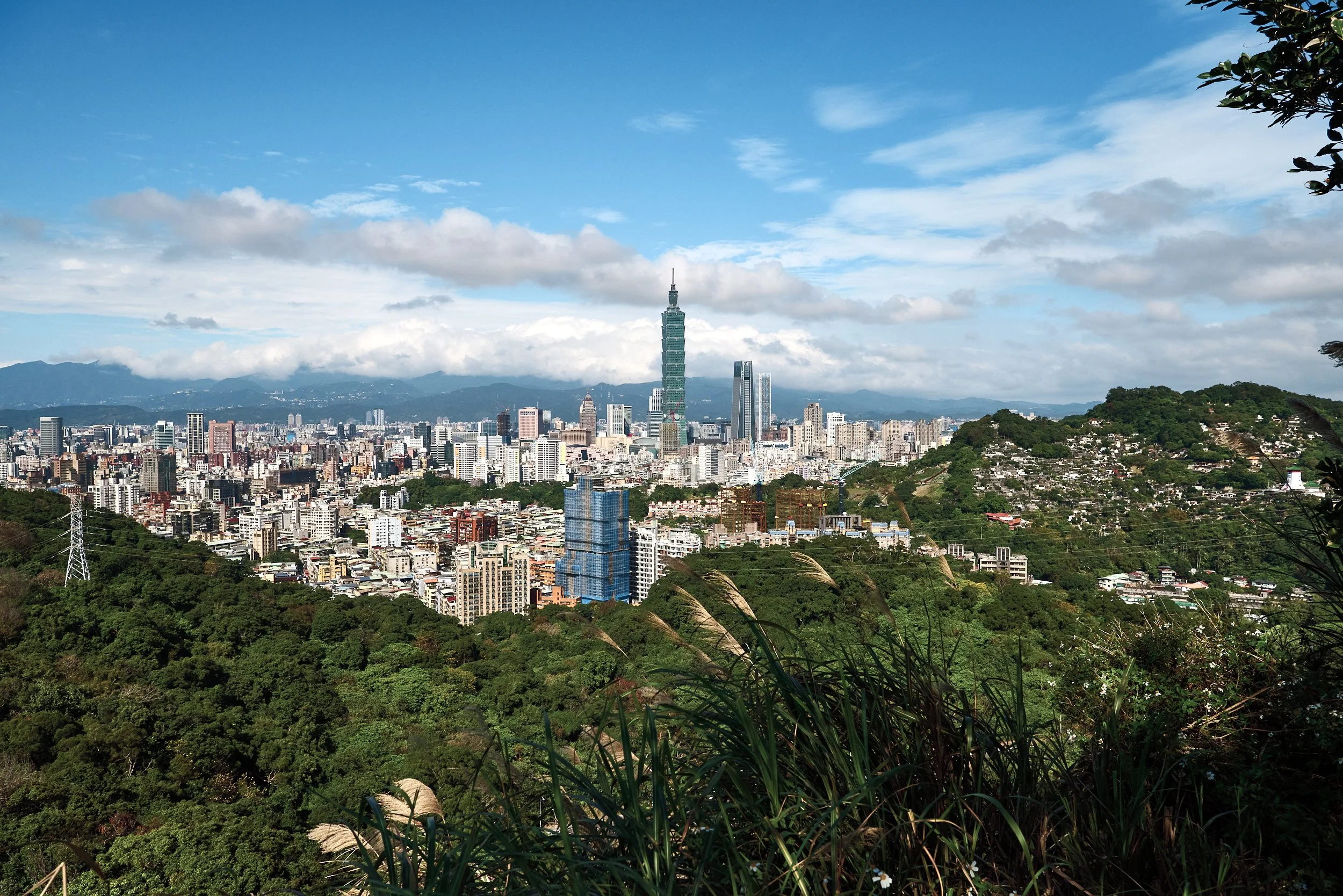 _DSC7327- JPEG 2500px for Squarespace .jpg