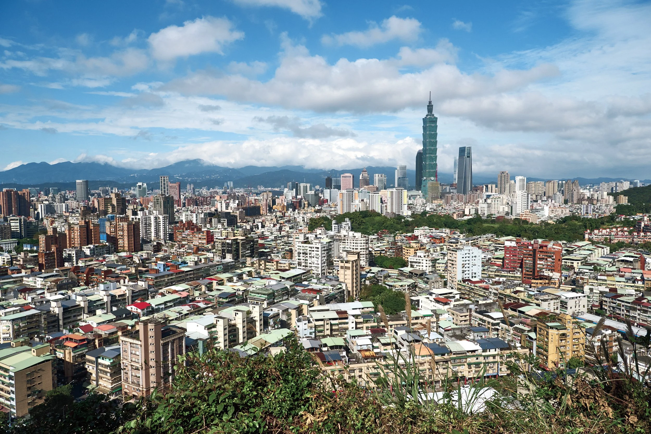 _DSC7333- JPEG 2500px for Squarespace .jpg