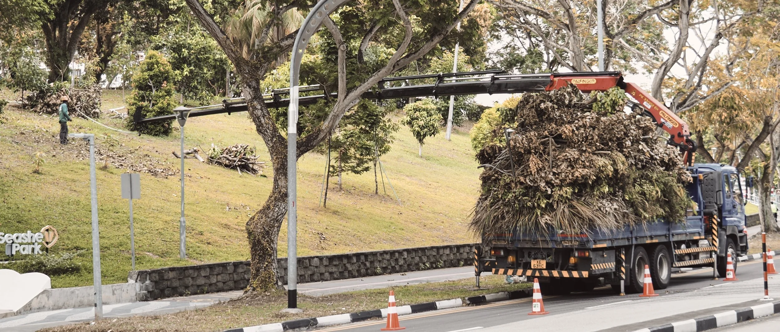 PB010194- JPEG 2500px for Squarespace -Antiquated.jpg