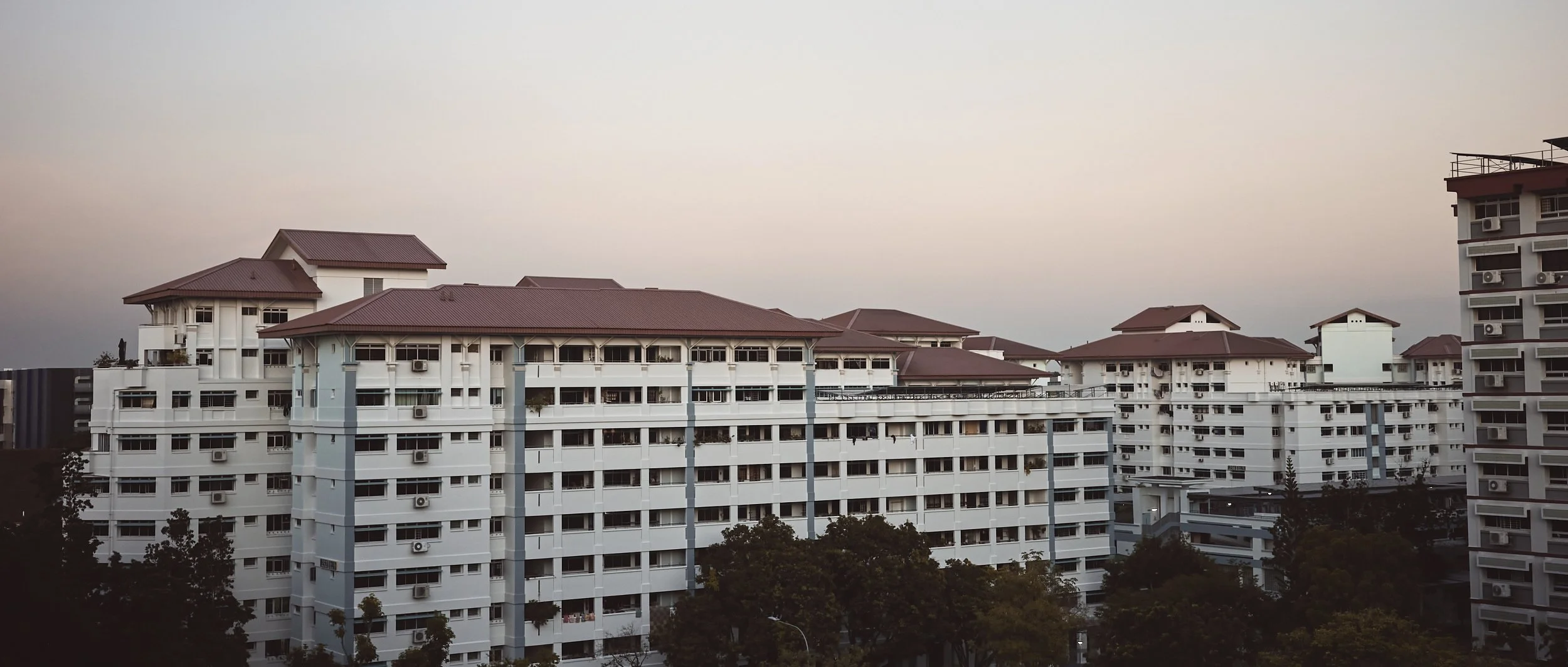 _R001169- JPEG 2500px for Squarespace -Antiquated.jpg