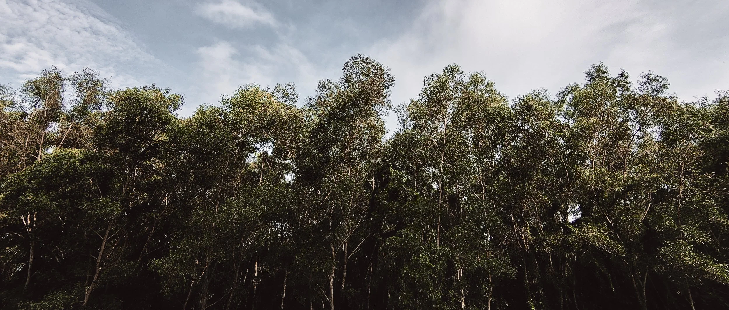 DSC_1162- JPEG 2500px for Squarespace -Antiquated.jpg