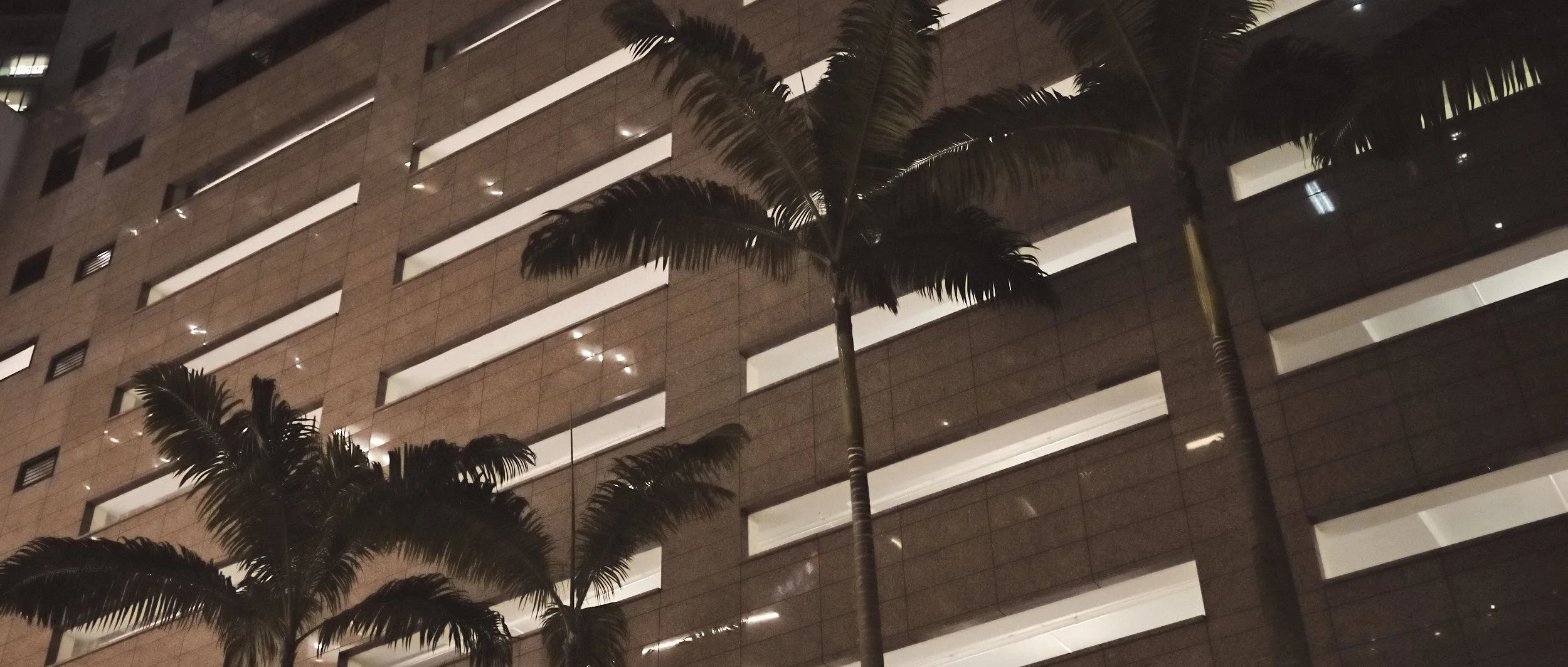 _R000064- JPEG 2500px for Squarespace -Antiquated.jpg