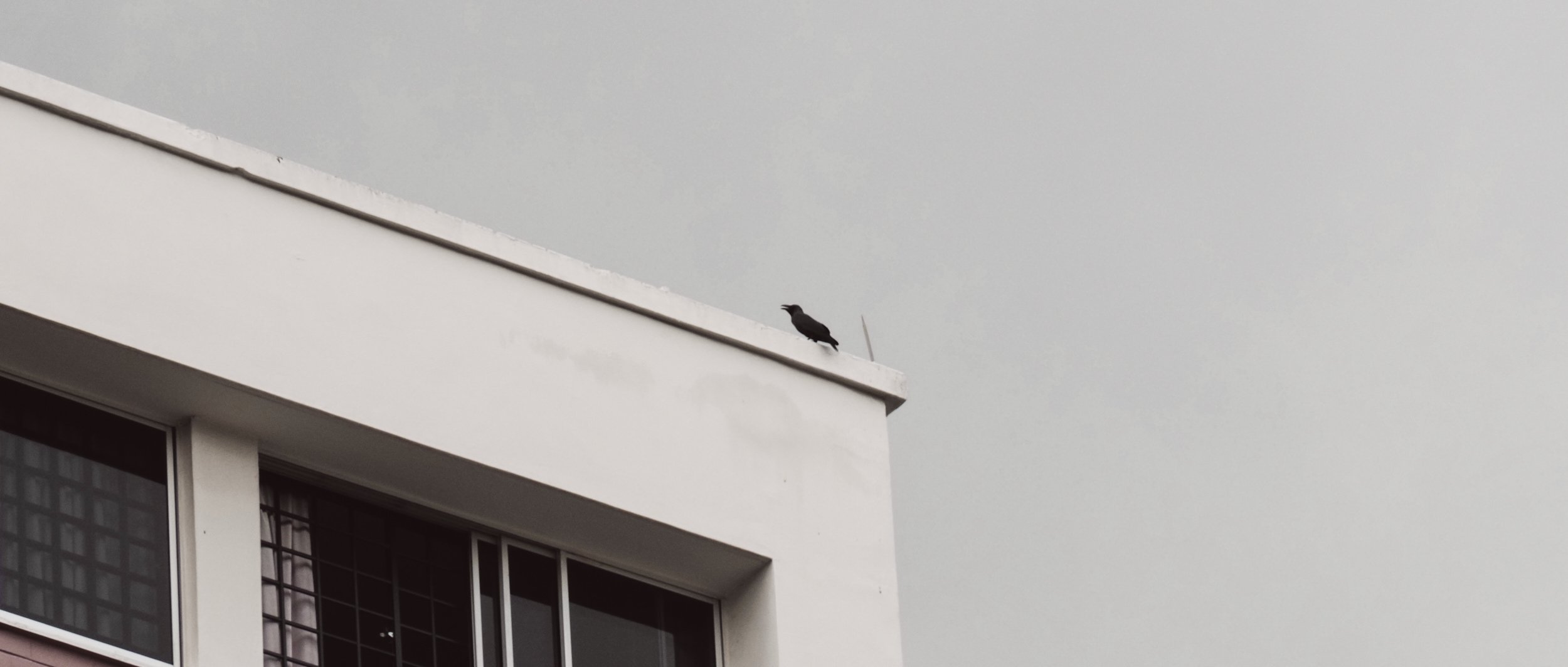 PB010215- JPEG 2500px for Squarespace -Antiquated.jpg