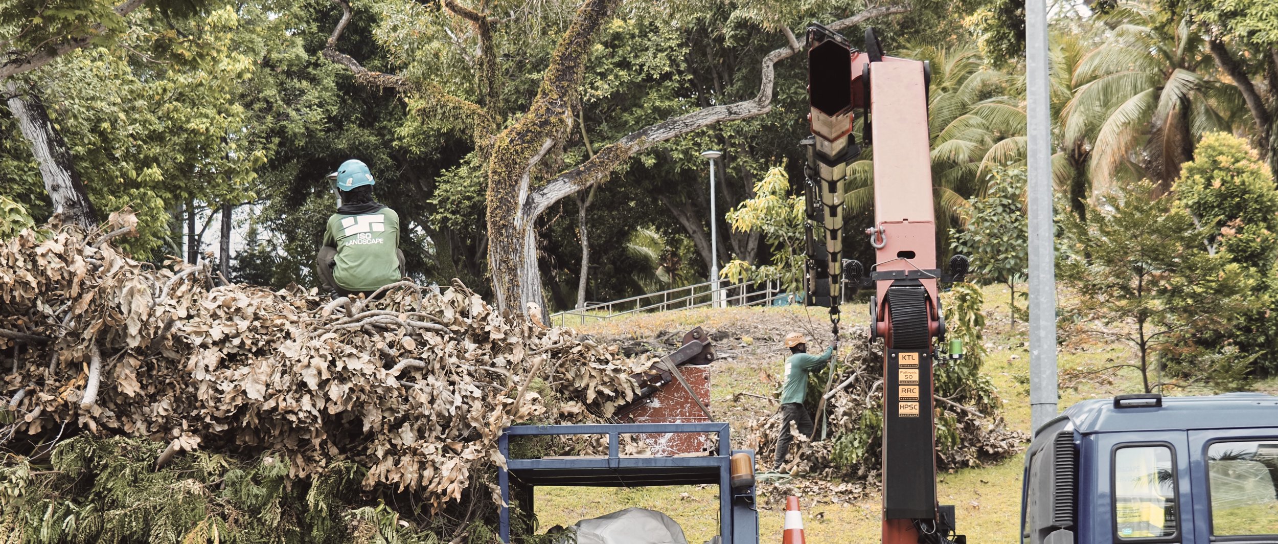 PB010199- JPEG 2500px for Squarespace -Antiquated.jpg