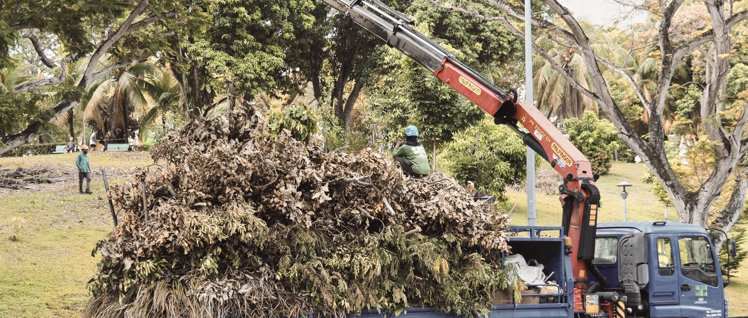 PB010196- JPEG 2500px for Squarespace -Antiquated.jpg