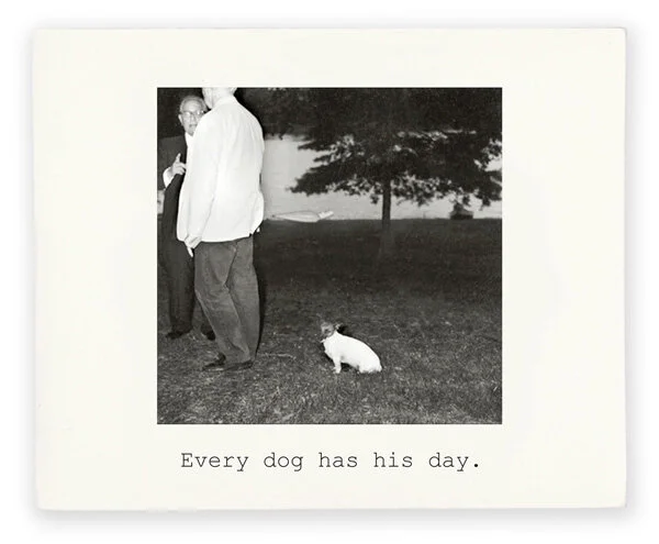 12-Kissenger_Every_Dog.jpg