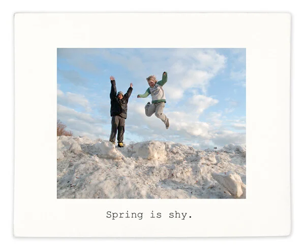 17-Spring is the shy 2018.jpg