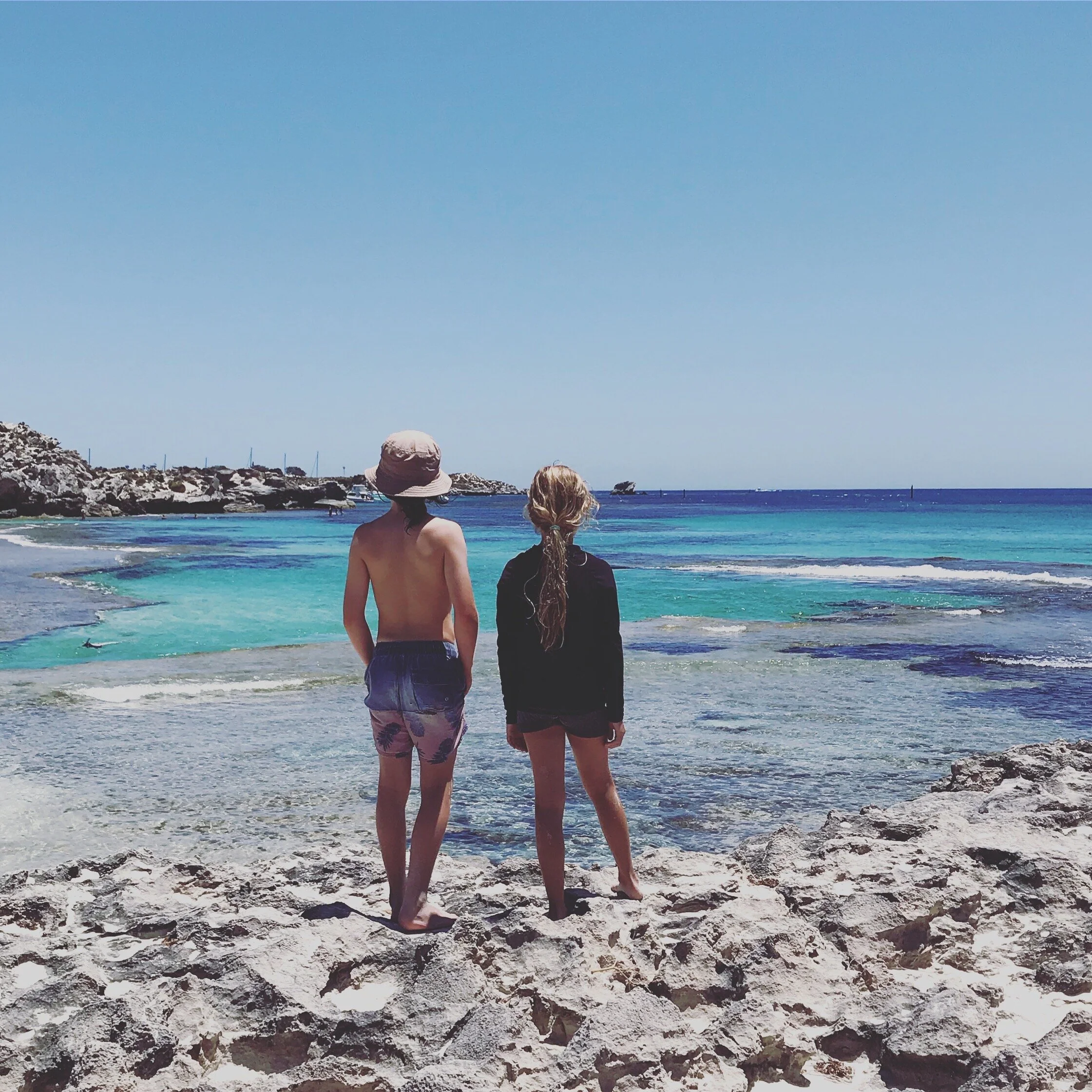 Newsletter, Summer 2020