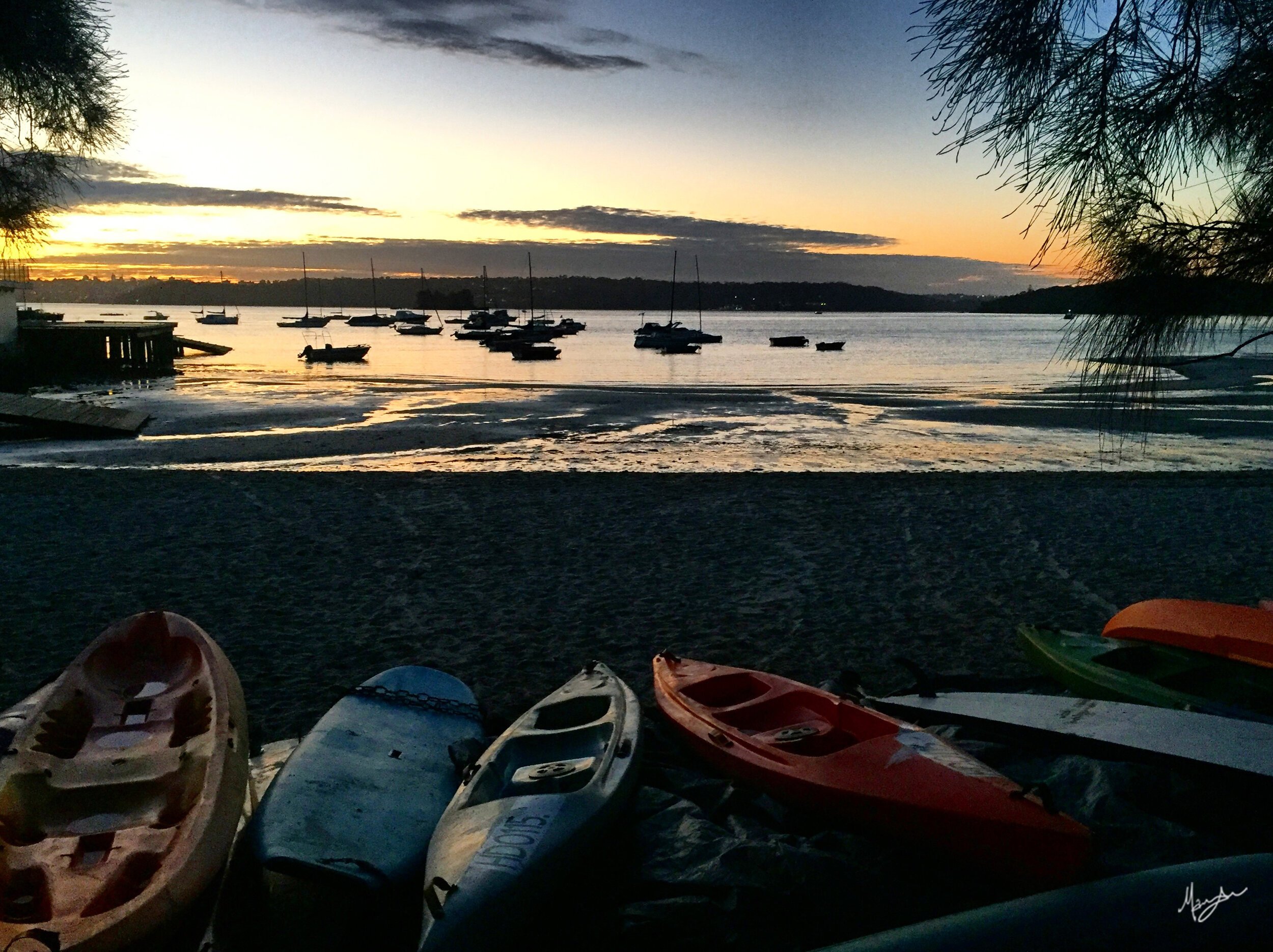 BATHED IN BAY