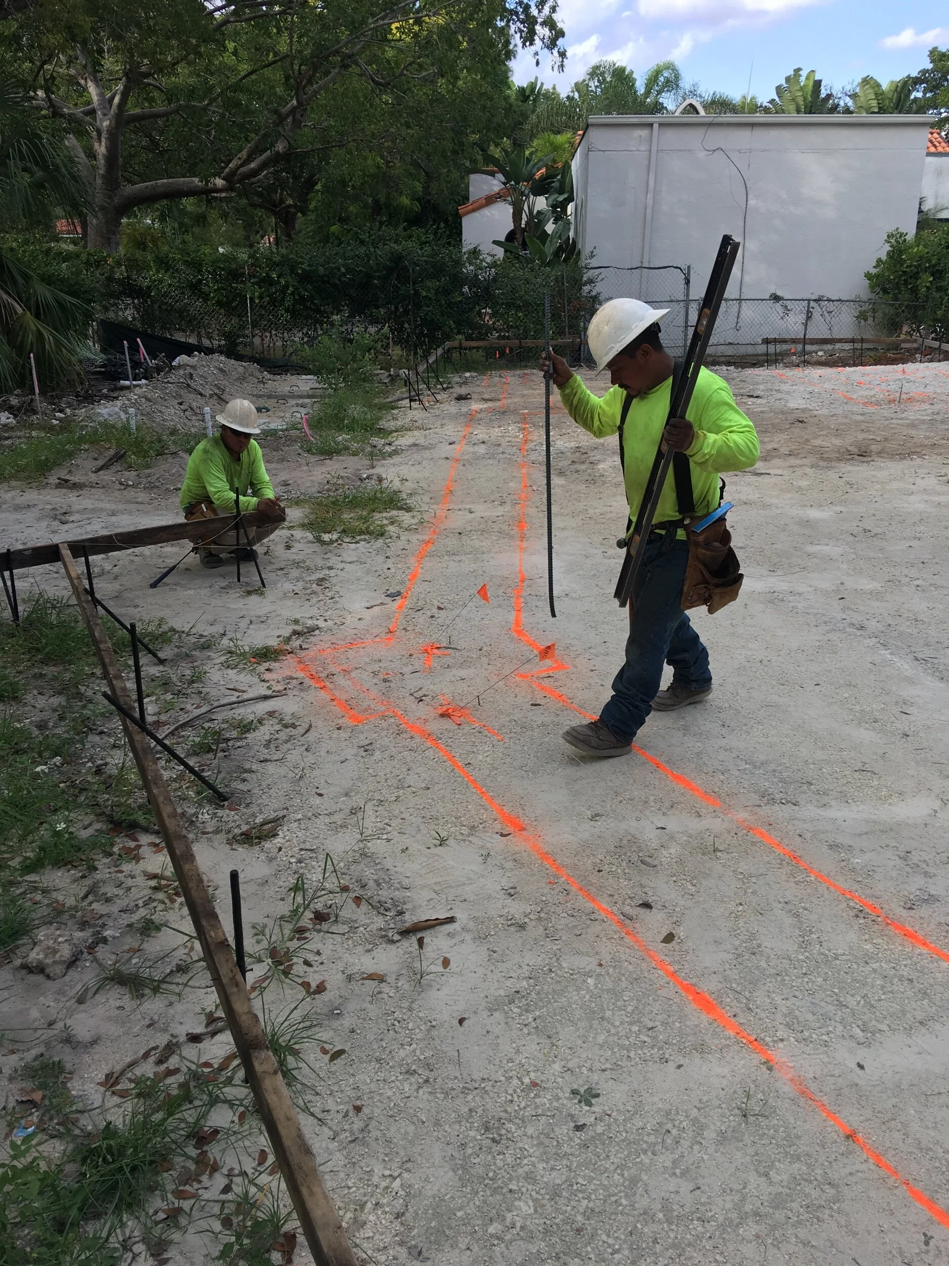 Survey and marks