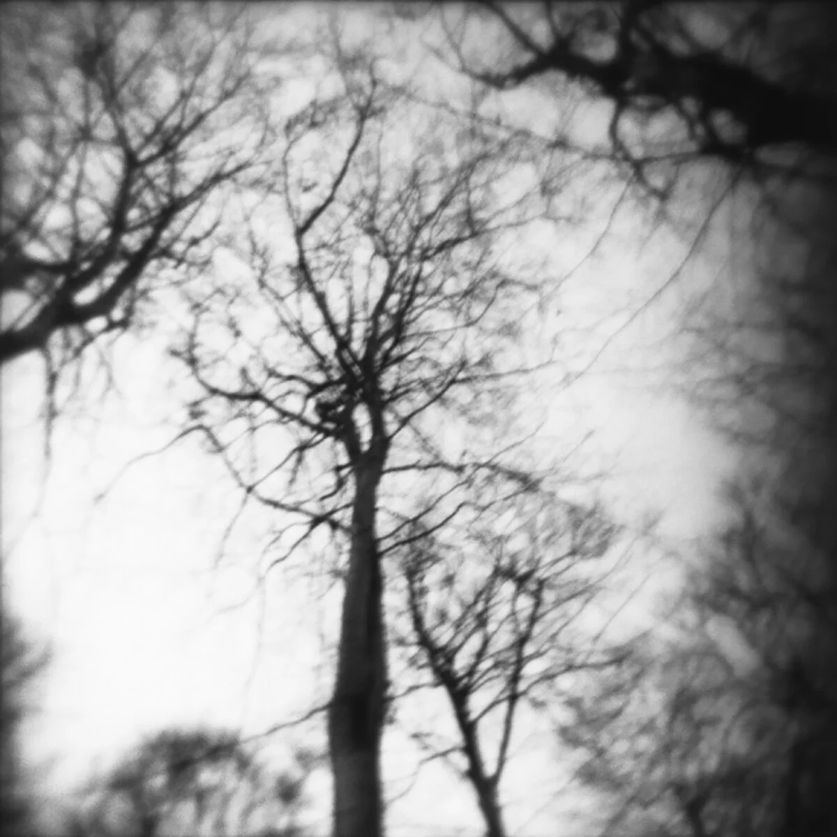 Mathilde Pettersen 7.jpg