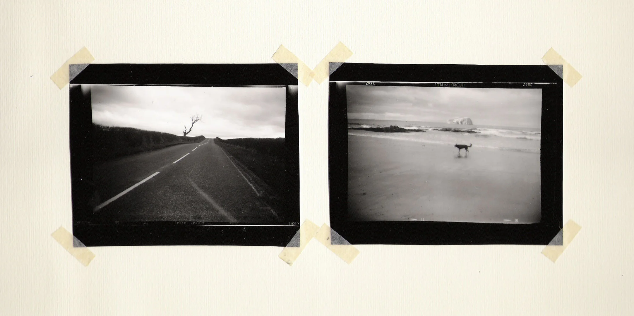 where do you hide.jpg