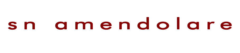 sn amendolare