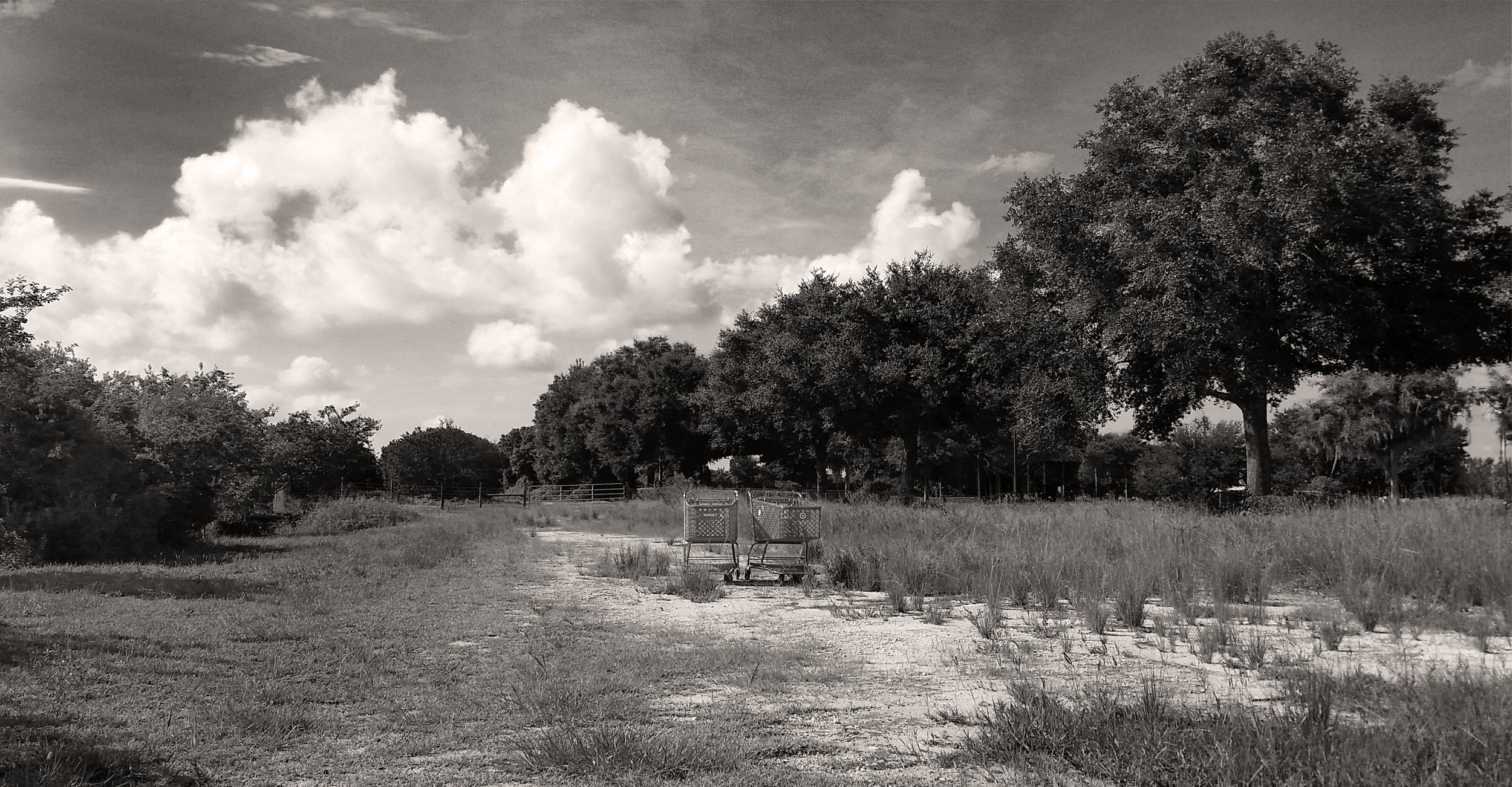 Target Carts in Field