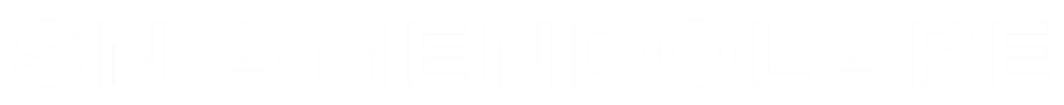 sn amendolare