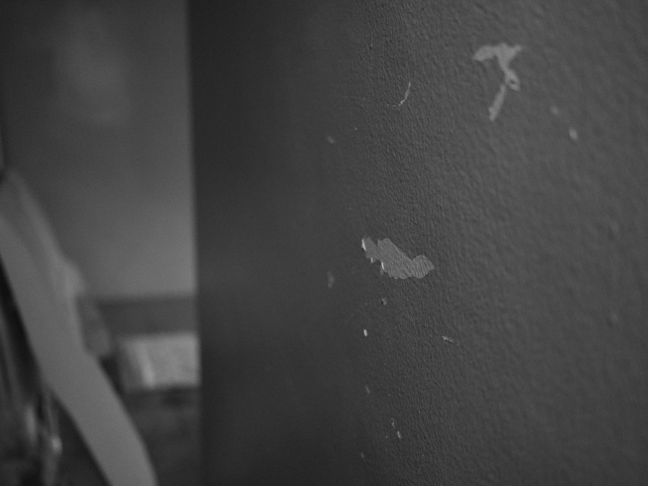 DSCF9880.jpg