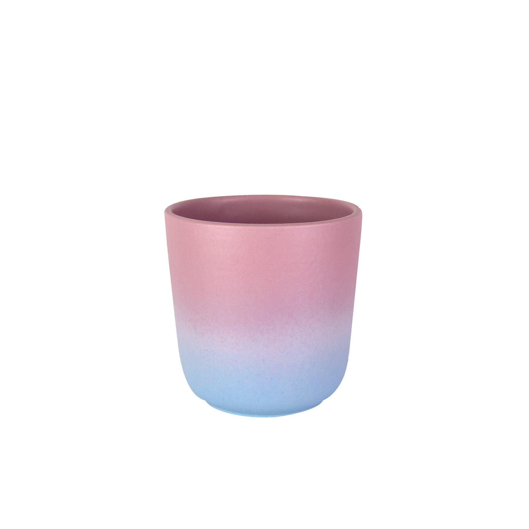 Coquille Cup | Dawn gradient