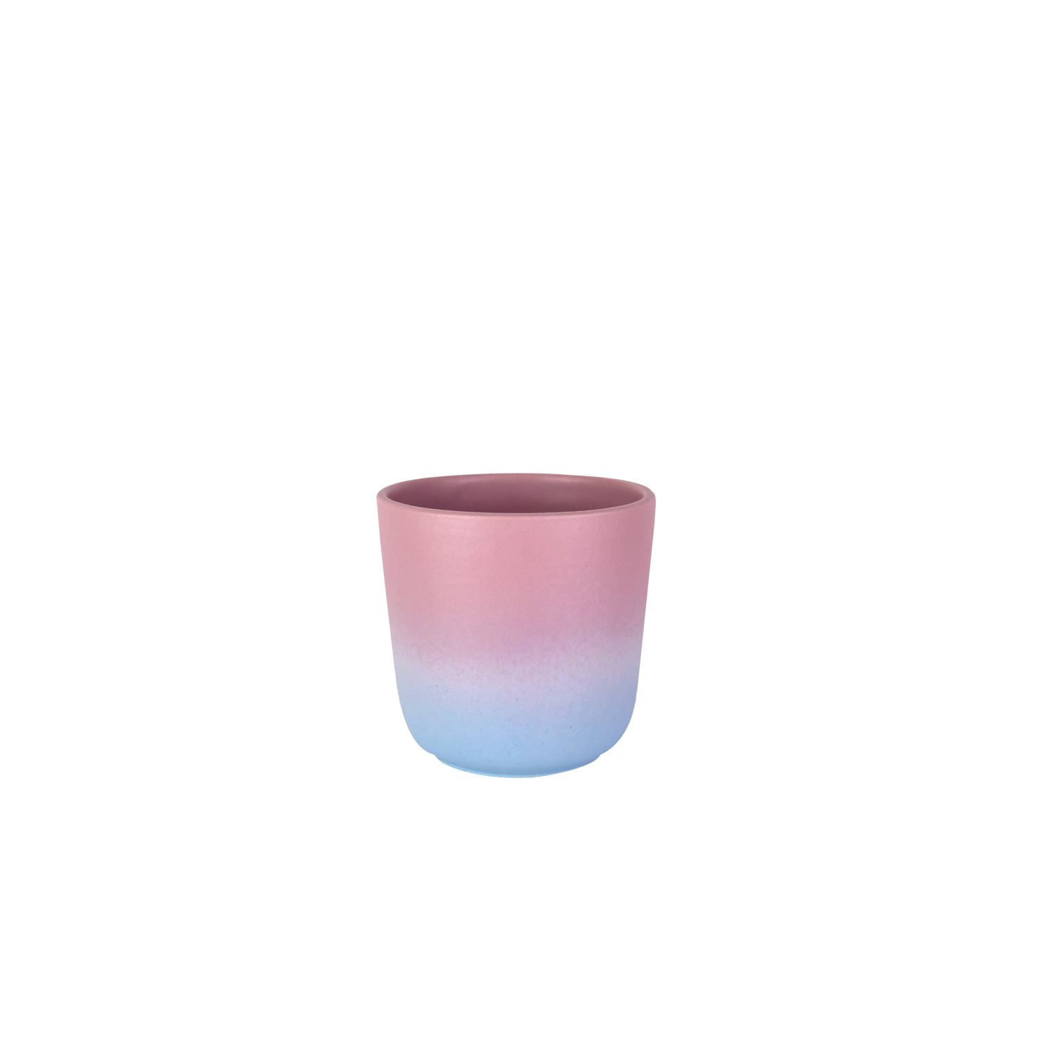 mini-coquille-dawn.png