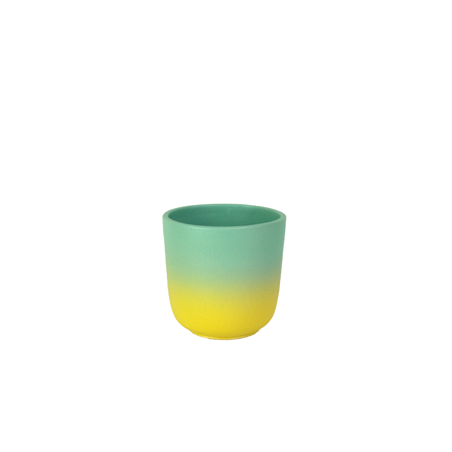 Mini coquille cup | Acid punch gradient