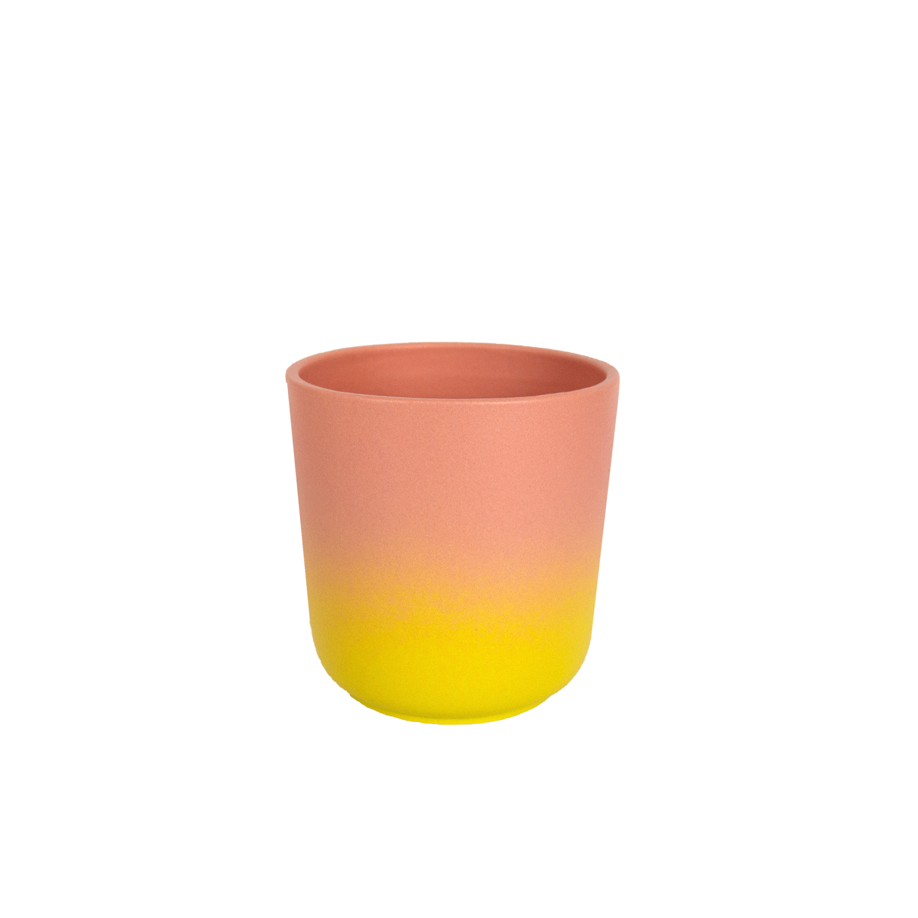 Coquille Cup | Nectarine gradient