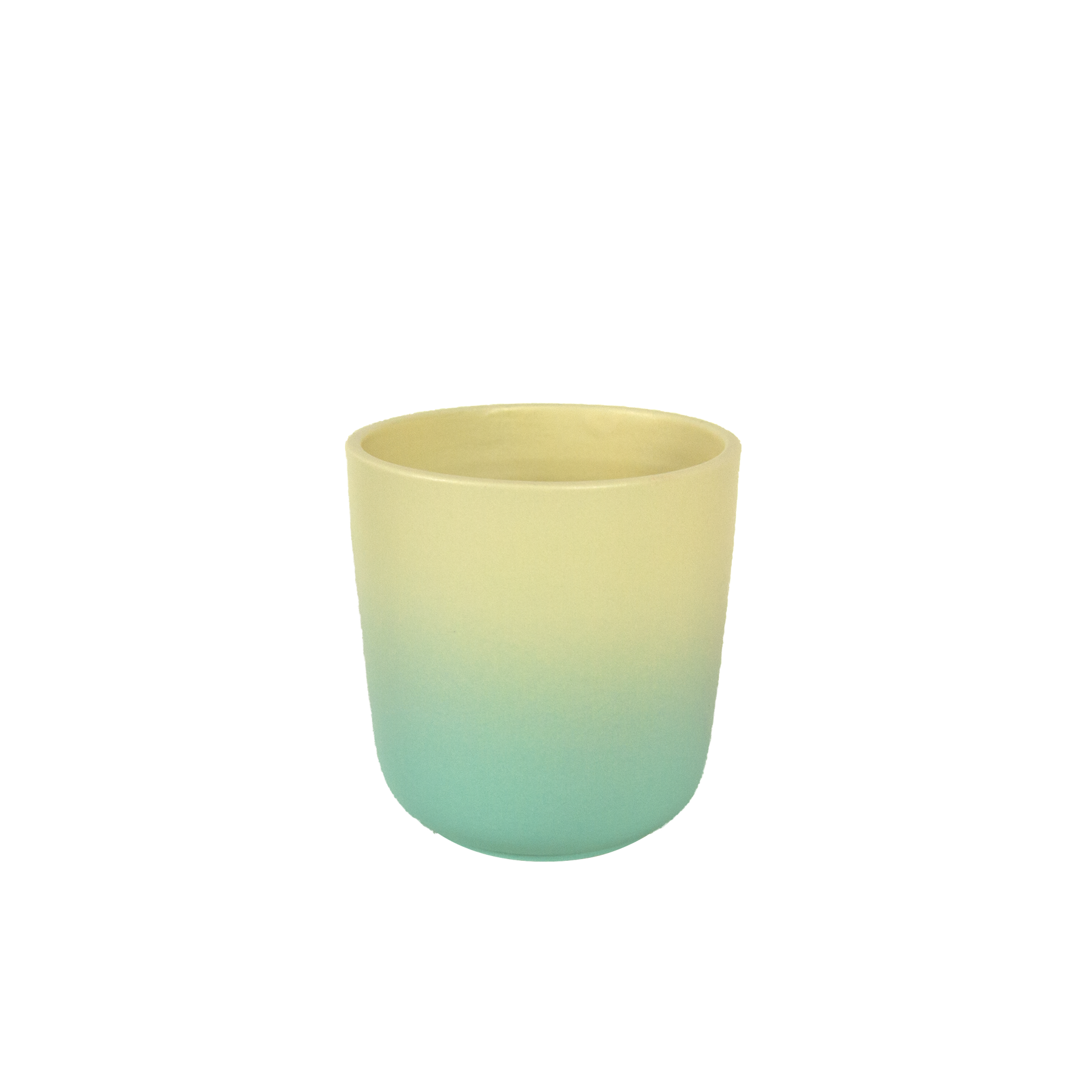 mintycoquillecup.png