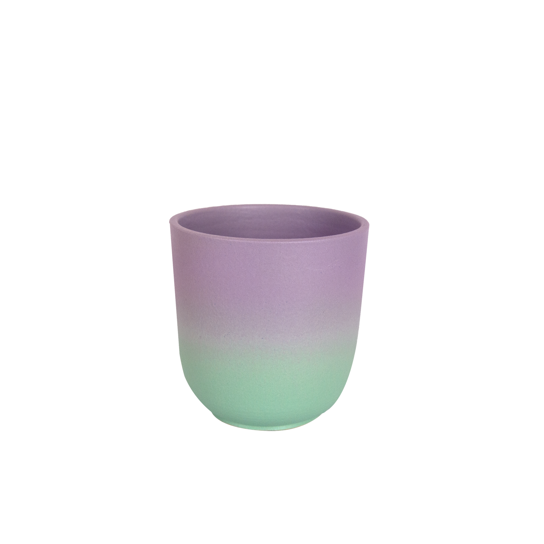 Coquille Cup | Jazzy Gradient