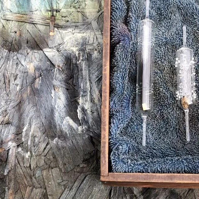 Thanks to @kitpaulson for encasing some artifacts for me! I&rsquo;m looking forward to building furniture for them! 🐞 🦷 💇🏻&zwj;♂️🦊💎 #reliquary #fabrication