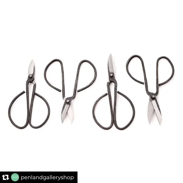 Repost from @penlandgalleryshop.  Got a few Garden snips made for Focus Gallery show which be online tomorrow! Even made a few for the southpaws!
We are looking forward to sharing an outstanding (virtual) FOCUS Gallery exhibition with you on Friday, 