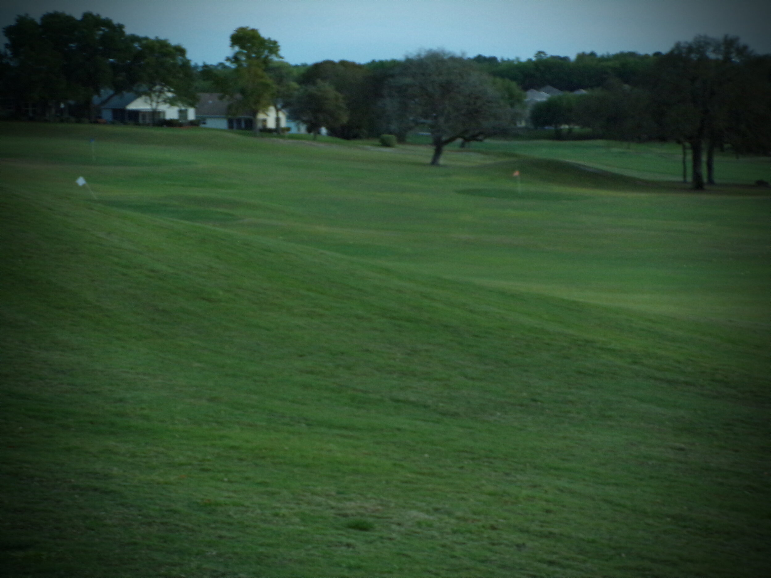 The green green grass of home