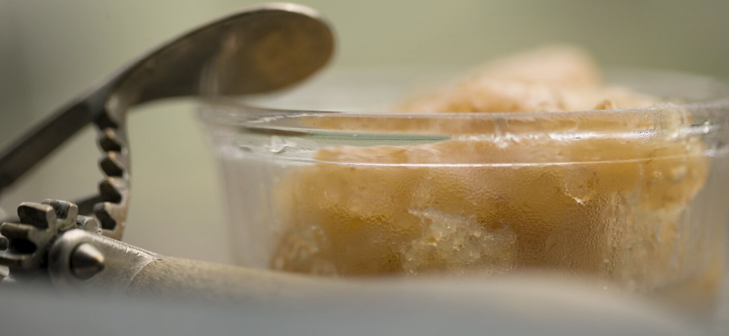 herban primitive cookbook cardamom Bosch pear sorbet chilled iced - food styling