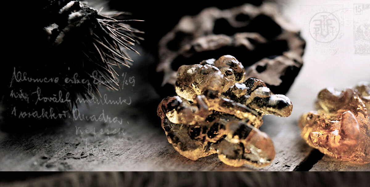 foodini magic illusions food walnuts confection hard candy editorial - food stylist