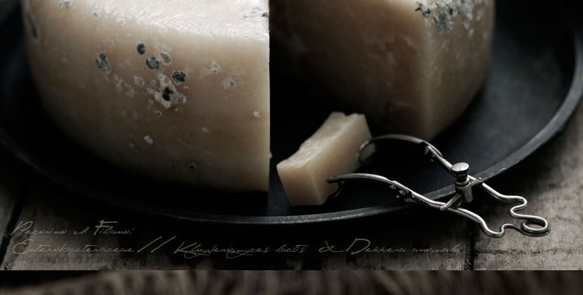foodini magic illusions food pecorino cheese mold alchemist editorial - food stylist