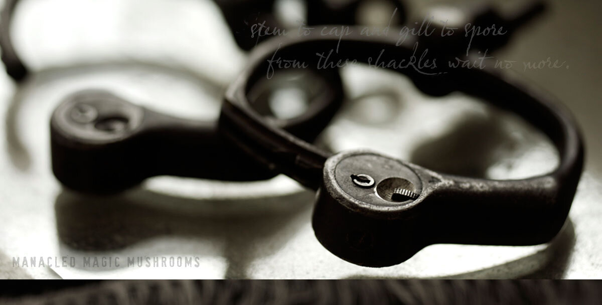 foodini magic illusions food Houdini handcuffs editorial - food stylist