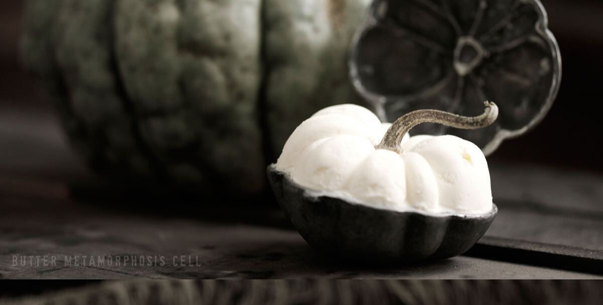 foodini magic illusions food ice cream butter mold pumpkin editorial - food stylist