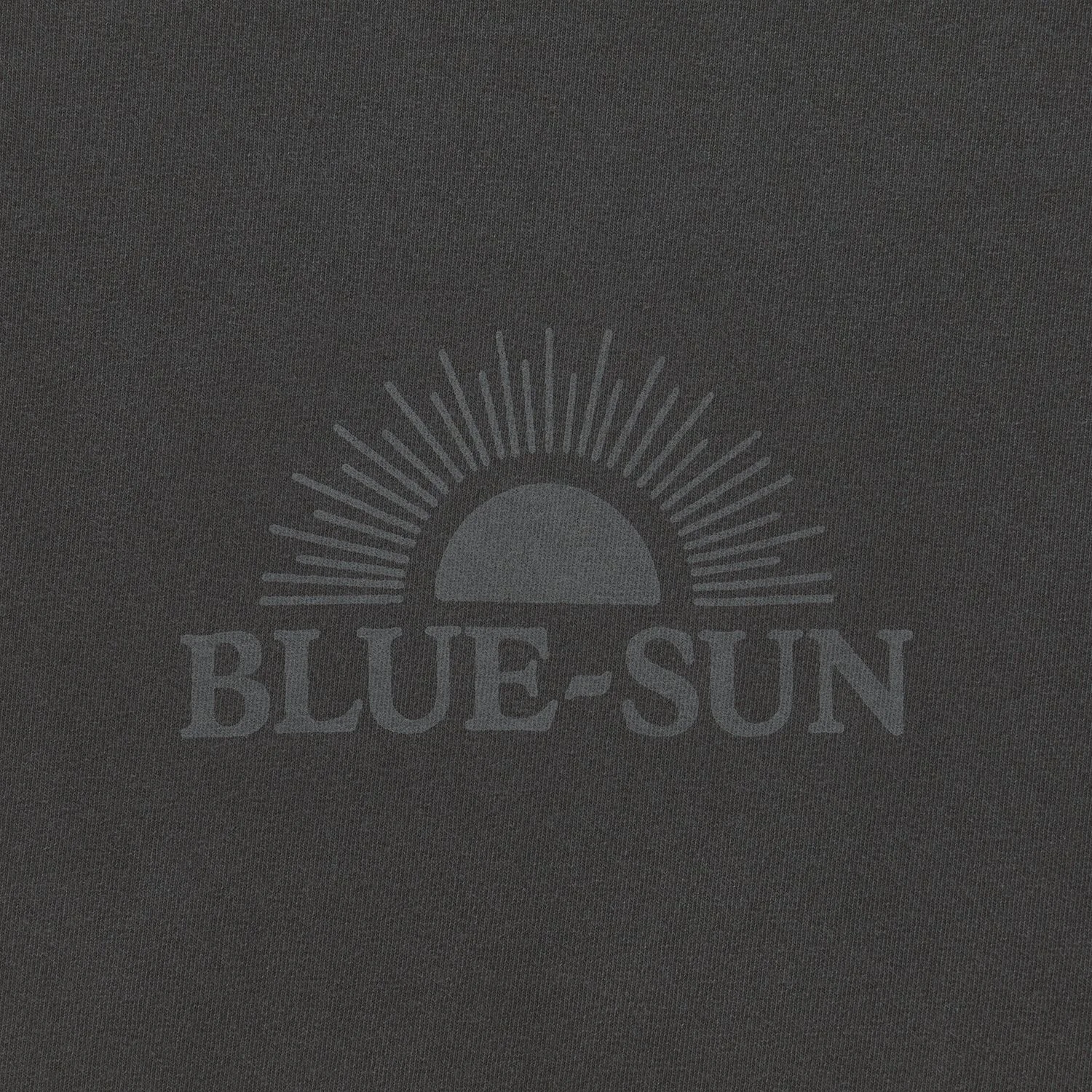 FW25_BlueSun_LogoTShirt_WashedBlack2.jpg